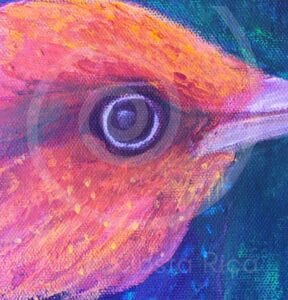 fauna-02-2