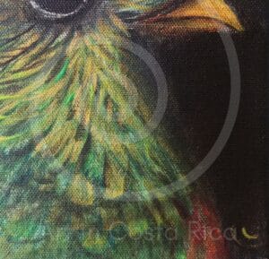fauna-05-dia-2 (2)