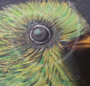 fauna-05-dia-2