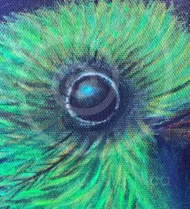 fauna-05-noche-2