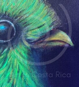 fauna-05-noche-3