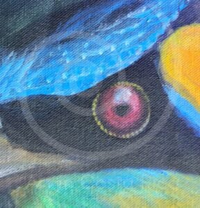 fauna-13-2