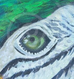 fauna-14-2